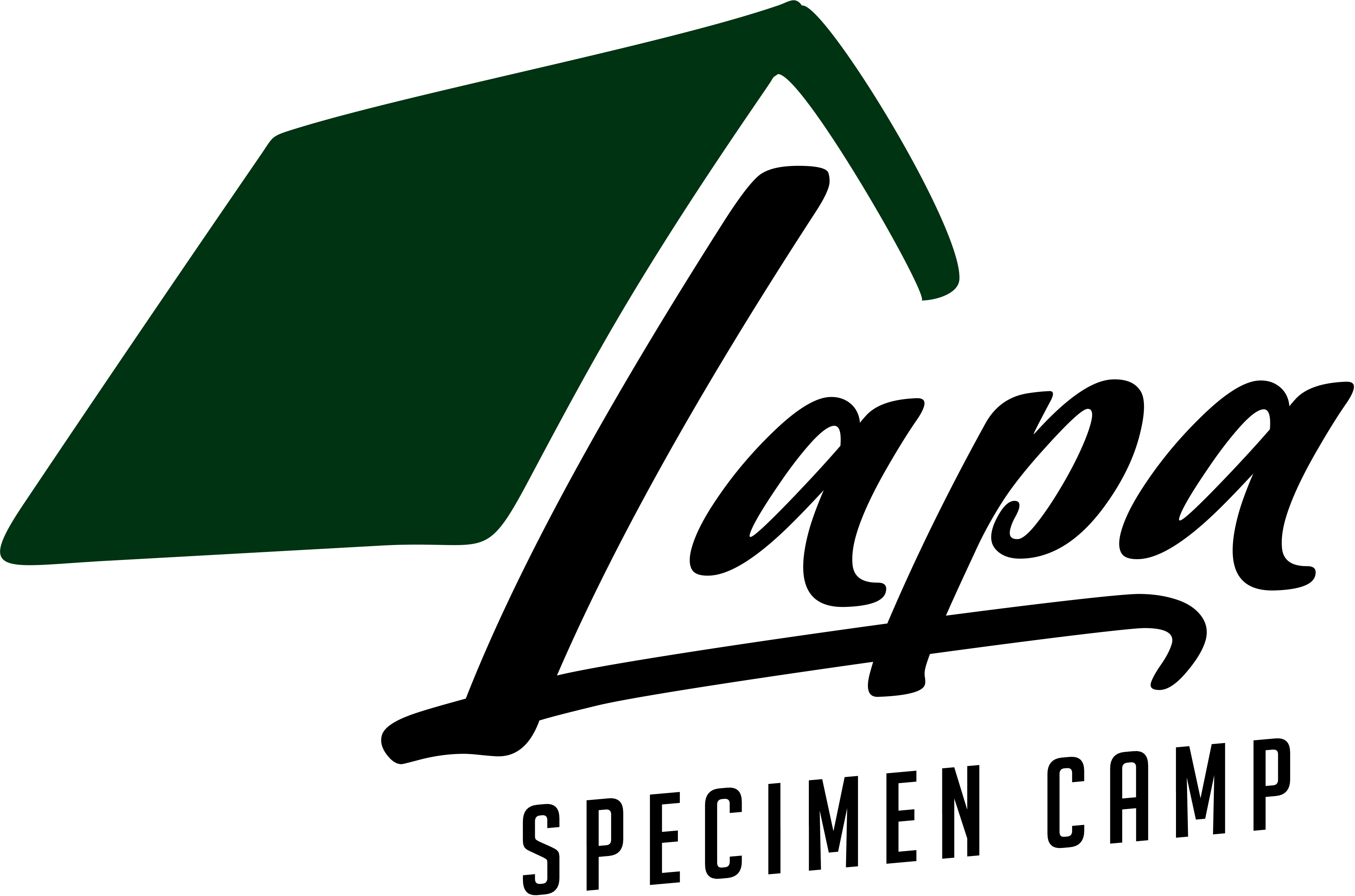 Lapa logo